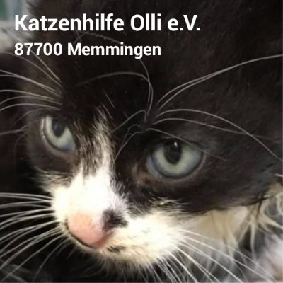 Visitenkarte3_10