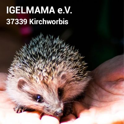 Visitenkarte3_12