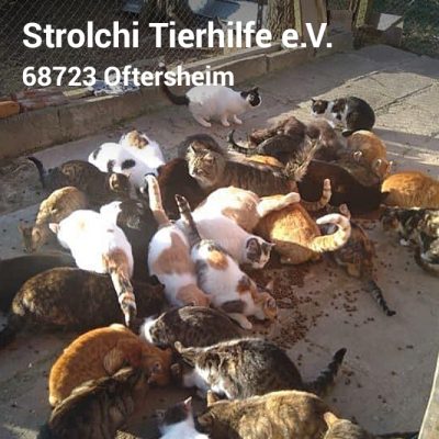 Visitenkarte3_13