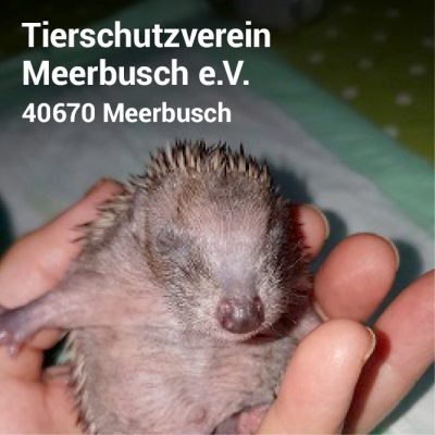 Visitenkarte3_6
