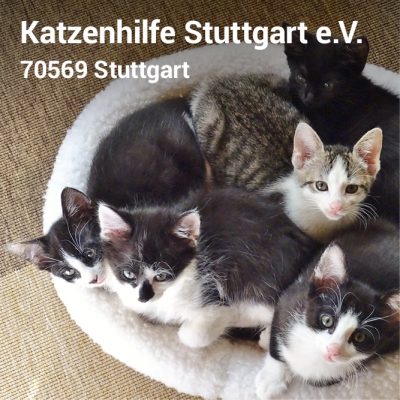 Visitenkarte3_11