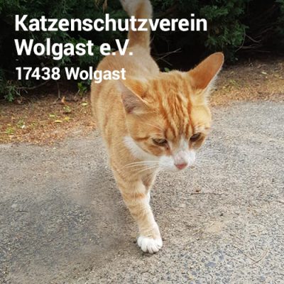 Visitenkarte3_7