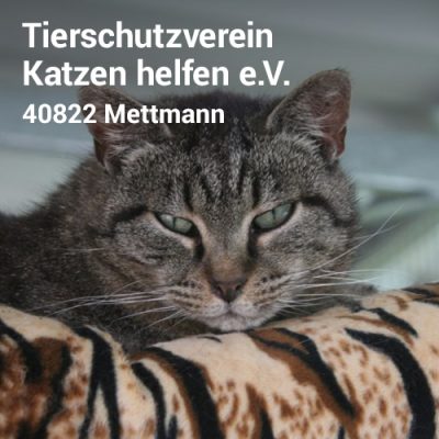 Visitenkarte3_8